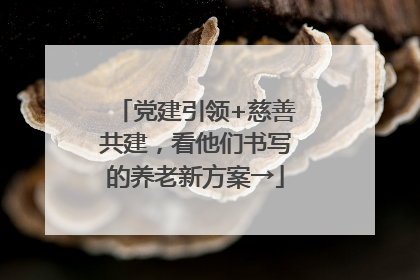 党建引领+慈善共建，看他们书写的养老新方案→