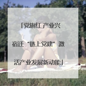 党旗红 产业兴 宿迁“链上党建”激活产业发展新动能