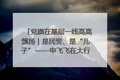 党旗在基层一线高高飘扬｜是民警、是“儿子”——申飞飞在太行山中的一线坚守