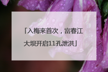 入梅来首次，富春江大坝开启11孔泄洪