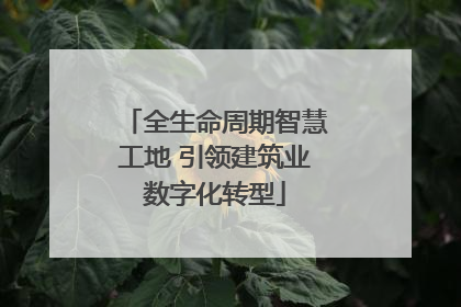 全生命周期智慧工地 引领建筑业数字化转型