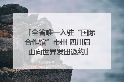 全省唯一入驻“国际合作馆”市州 四川眉山向世界发出邀约