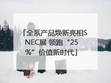 全系产品焕新亮相SNEC展 领跑“25%”价值新时代