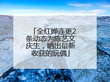 全红婵连更2条动态为陈艺文庆生，晒出最新收获的玩偶
