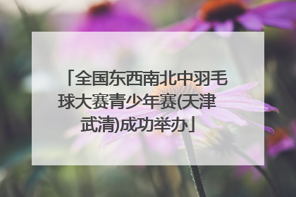 全国东西南北中羽毛球大赛青少年赛(天津武清)成功举办