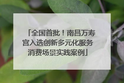 全国首批！南昌万寿宫入选创新多元化服务消费场景实践案例