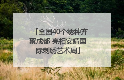 全国40个绣种齐聚成都 亮相安靖国际刺绣艺术周