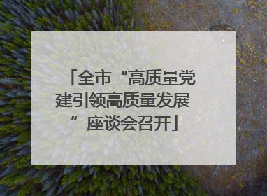 全市“高质量党建引领高质量发展”座谈会召开