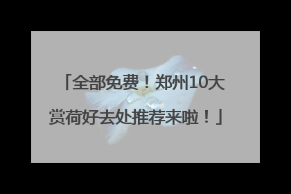 全部免费！郑州10大赏荷好去处推荐来啦！