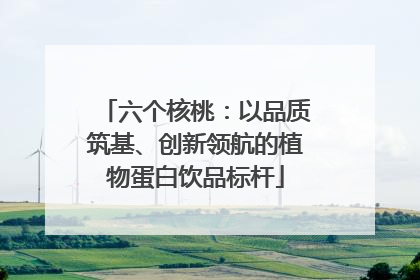 六个核桃：以品质筑基、创新领航的植物蛋白饮品标杆