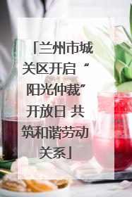 兰州市城关区开启“阳光仲裁”开放日 共筑和谐劳动关系