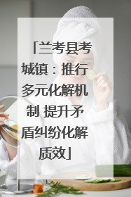 兰考县考城镇：推行多元化解机制 提升矛盾纠纷化解质效