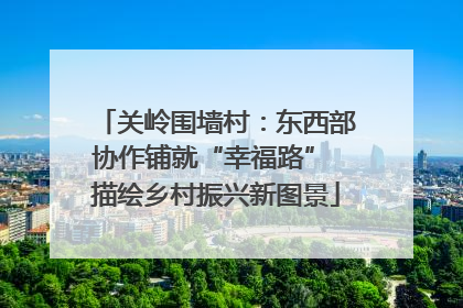 关岭围墙村：东西部协作铺就“幸福路” 描绘乡村振兴新图景