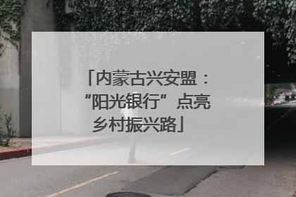 内蒙古兴安盟：“阳光银行”点亮乡村振兴路