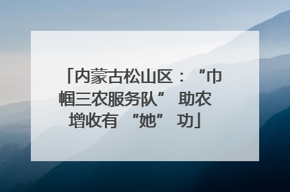 内蒙古松山区：“巾帼三农服务队” 助农增收有 “她” 功