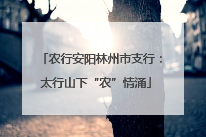 农行安阳林州市支行：太行山下“农”情涌