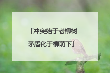 冲突始于老柳树 矛盾化于柳荫下