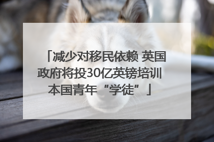 减少对移民依赖 英国政府将投30亿英镑培训本国青年“学徒”