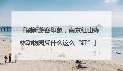 刷新游客印象，南京红山森林动物园凭什么这么“红”