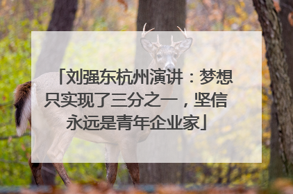 刘强东杭州演讲：梦想只实现了三分之一，坚信永远是青年企业家