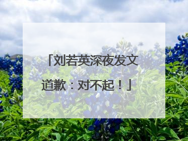 刘若英深夜发文道歉：对不起！