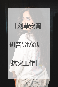 刘革安调研督导防汛抗灾工作