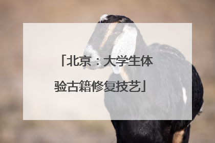 北京：大学生体验古籍修复技艺