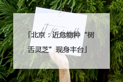 北京：近危物种“树舌灵芝”现身丰台