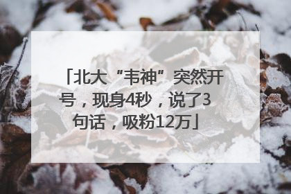 北大“韦神”突然开号，现身4秒，说了3句话，吸粉12万