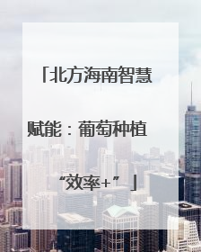 北方海南智慧赋能：葡萄种植“效率+”