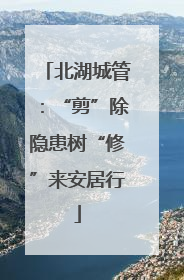 北湖城管：“剪”除隐患树“修”来安居行