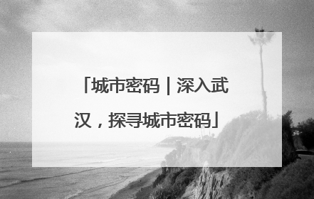 城市密码｜深入武汉，探寻城市密码