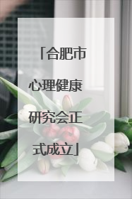 合肥市心理健康研究会正式成立