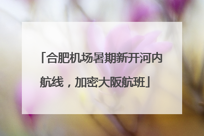 合肥机场暑期新开河内航线，加密大阪航班