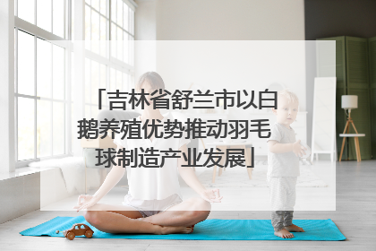 吉林省舒兰市以白鹅养殖优势推动羽毛球制造产业发展