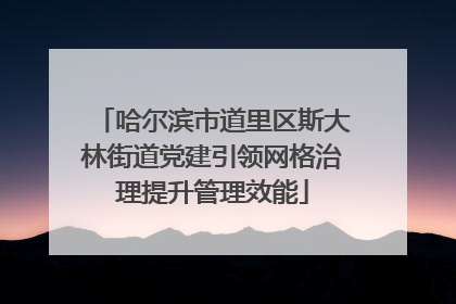 哈尔滨市道里区斯大林街道党建引领网格治理提升管理效能