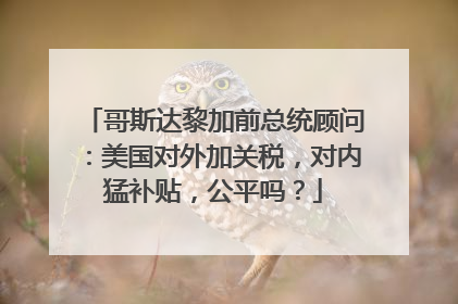 哥斯达黎加前总统顾问：美国对外加关税，对内猛补贴，公平吗？