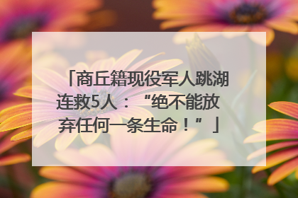 商丘籍现役军人跳湖连救5人：“绝不能放弃任何一条生命！”