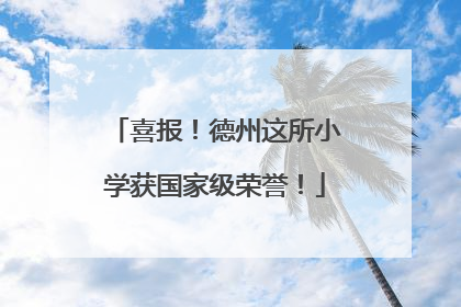喜报！德州这所小学获国家级荣誉！