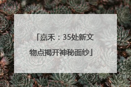 嘉禾：35处新文物点揭开神秘面纱