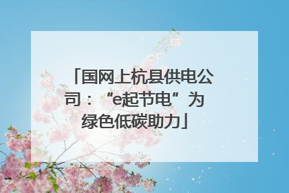 国网上杭县供电公司：“e起节电”为绿色低碳助力