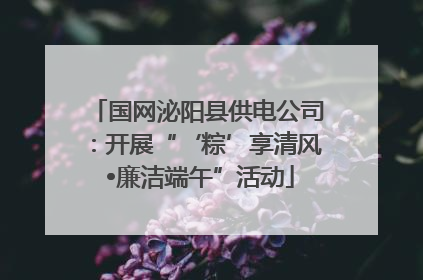 国网泌阳县供电公司：开展“‘粽’享清风 •廉洁端午”活动