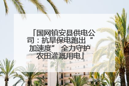 国网镇安县供电公司：抗旱保电跑出“加速度” 全力守护农田灌溉用电