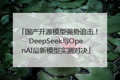 国产开源模型强势追击！DeepSeek与OpenAI最新模型实测对决