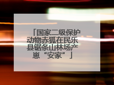 国家二级保护动物赤狐在民乐县锯条山林场产崽“安家”