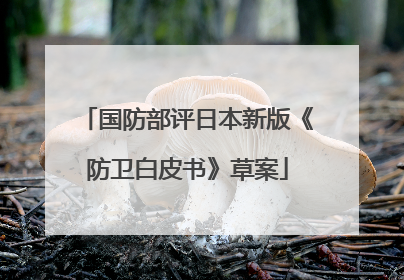 国防部评日本新版《防卫白皮书》草案