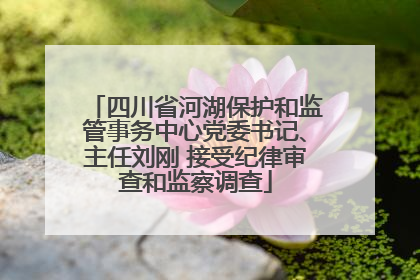 四川省河湖保护和监管事务中心党委书记、主任刘刚 接受纪律审查和监察调查