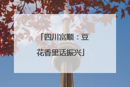 四川富顺：豆花香里话振兴