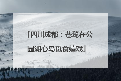 四川成都：苍鹭在公园湖心岛觅食嬉戏