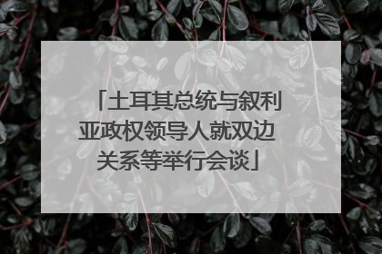 土耳其总统与叙利亚政权领导人就双边关系等举行会谈